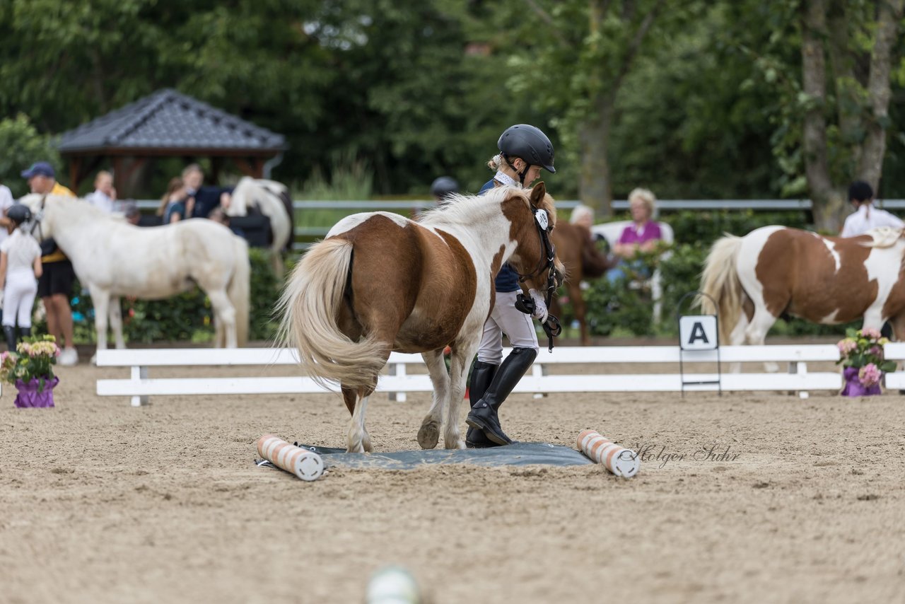 Bild 205 - Pony Akademie Turnier